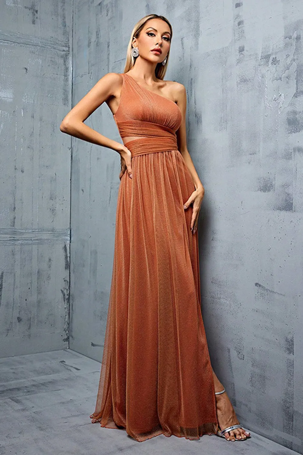 Brown One Shoulder A Line Pleated Maxi Dress