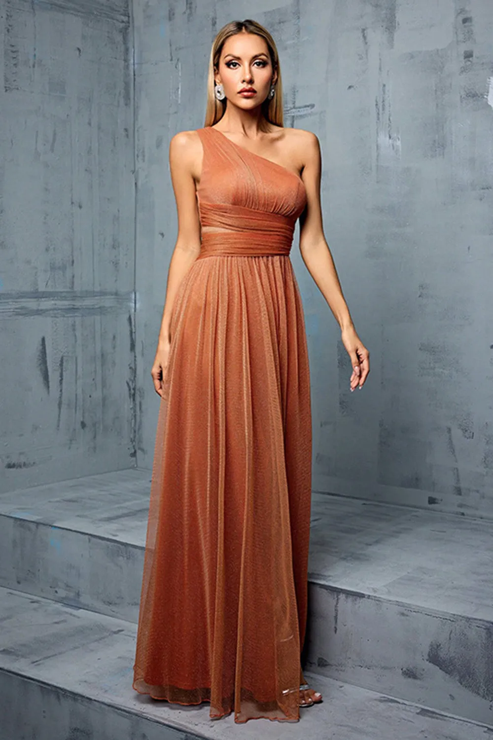 Brown One Shoulder A Line Pleated Maxi Dress