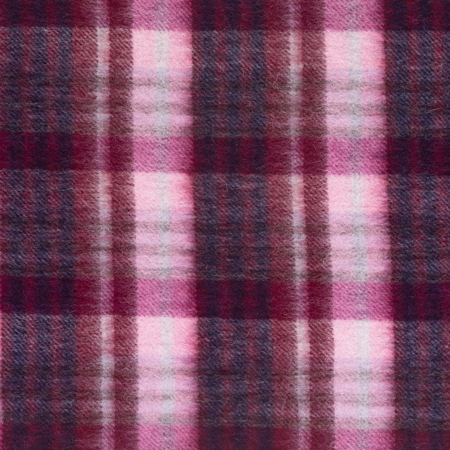 Edinburgh 100% Lambswool Scarf  Cluster Gingham 27627 Astral/Berry